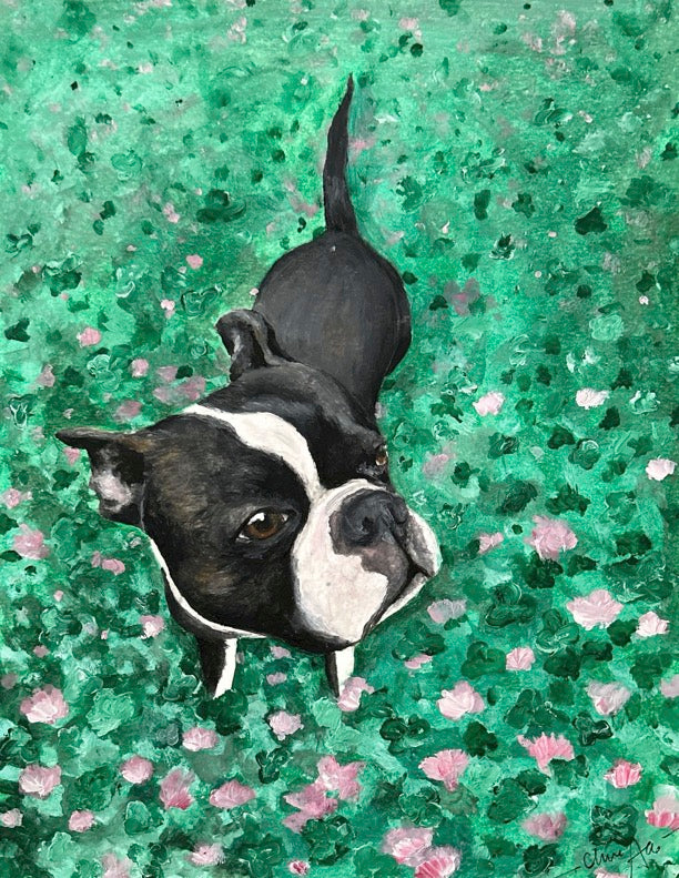 Dunkin: Boston Terrier Portrait - Fine Art Print