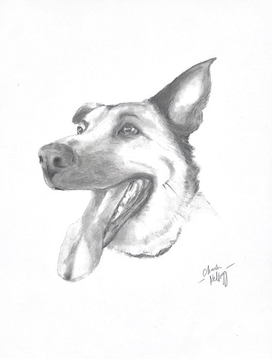 German Shepherd Portrait - Graphite Sketch Print