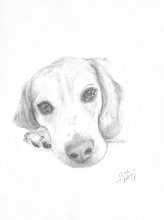 Beagle Mix Portrait - Graphite Sketch Print