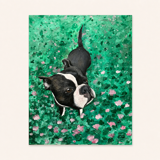 Dunkin: Boston Terrier Portrait - Fine Art Print