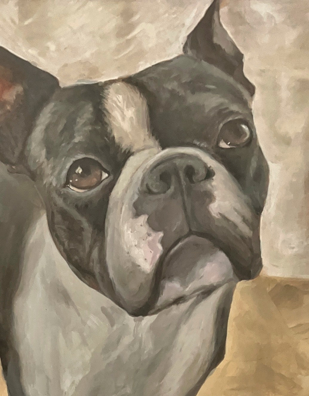 Dunkin II: Boston Terrier Portrait - Fine Art Print